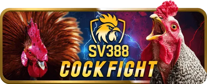 Sân đấu đá gà trực tuyến tại 888win